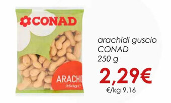 Conad arachidi guscio CONAD 250 g offerta