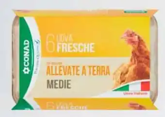 Conad uova fresche Italiane medie CONAD 6 pezzi offerta