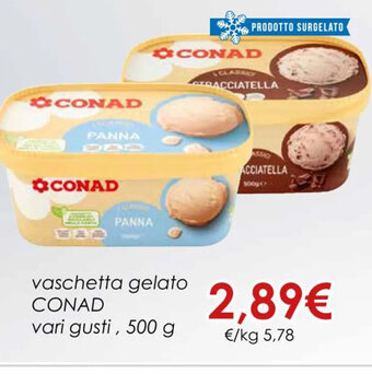 Conad vaschetta gelato CONAD vari gusti, 500 g offerta