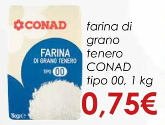 Conad farina di grano tenero CONAD tipo 00, 1 kg offerta