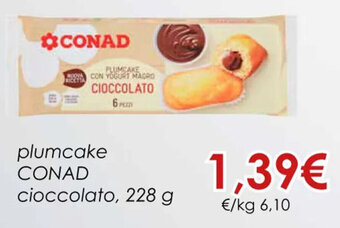 Conad PLUMCAKE CONAD cioccolato, 228 g offerta