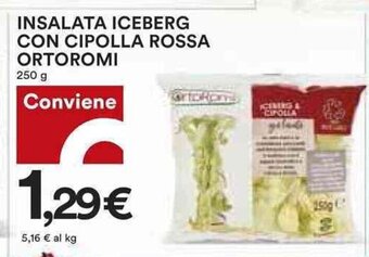 Coop INSALATA ICEBERG CON CIPOLLA ROSSA ORTOROMI 250 g offerta