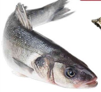 Docks Cash&Carry Branzino 300 / 400 allevato estero offerta