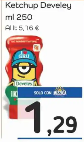 Ketchup Develey ml 250
