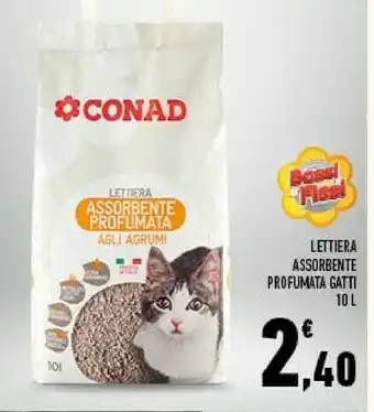 Conad Conad Lettiera Assorbente Profumata Gatti offerta