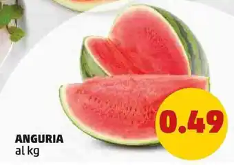 PENNY ANGURIA offerta