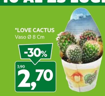 Love cactus