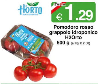 Sì con te Pomodoro rosso grappolo idroponico H2Orto 500 g offerta