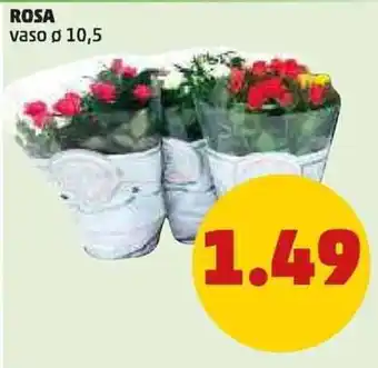 PENNY ROSA vaso Ø10,5 offerta