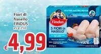 Paghi Poco Findus fiori di nasello offerta