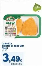Trolley asilo