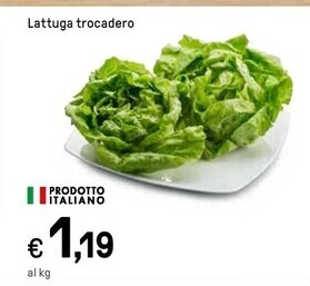 Iper La Grande Lattuga trocadero offerta