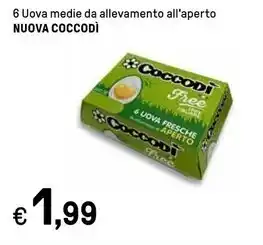 Iper La Grande Coccodì nuova uova medie da allevamento all'aperto offerta