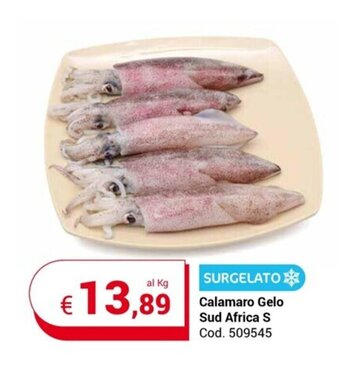 Centro Cash Calamaro Gelo Sud Africa S offerta