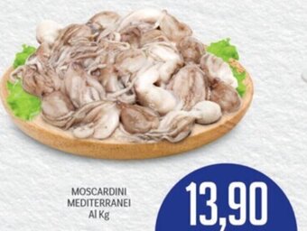 MOSCARDINI MEDITERRANEI