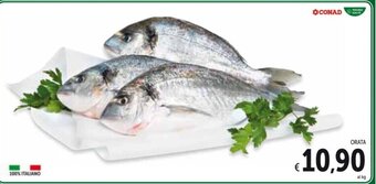 Spazio Conad ORATA offerta