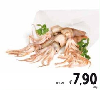 Spazio Conad TOTANI offerta
