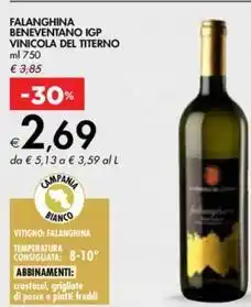 Tigros Sammontana barattolino offerta