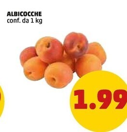 PENNY Albicocche offerta