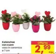 Ard Discount Tesori del cuoco pesto di pistacchio fresco offerta