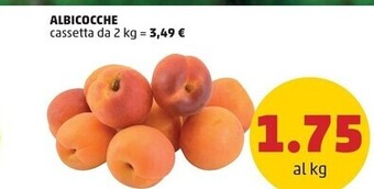 PENNY Albicocche offerta