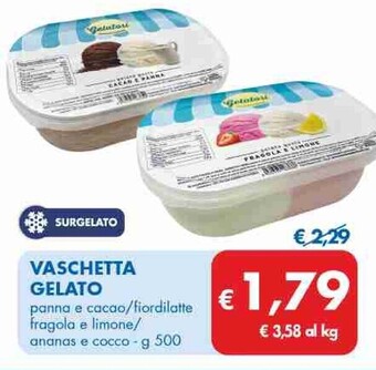 MD Discount Vaschetta gelato offerta