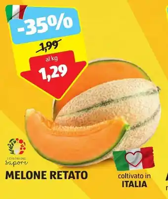 ALDI MELONE RETATO offerta