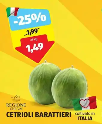 ALDI CETRIOLI BARATTIERI offerta