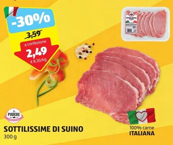 ALDI SOTTILISSIME DI SUINO 300 g offerta