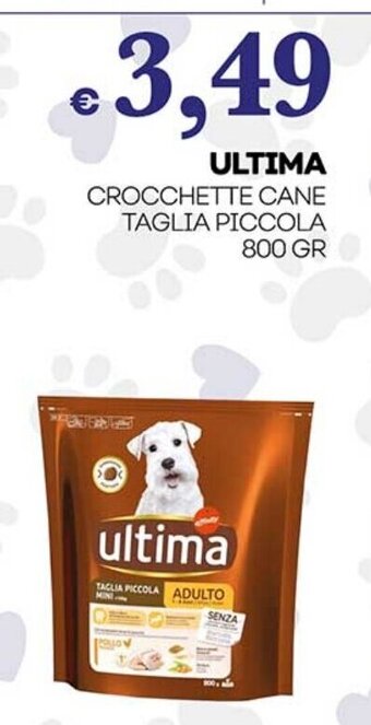 ULTIMA CROCCHETTE CANE TAGLIA PICCOLA 800 GR