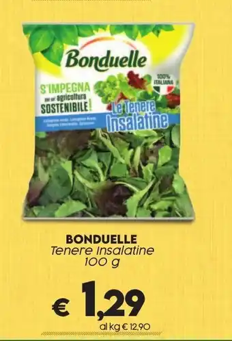 Crai BONDUELLE Tenere Insalatine 100 g offerta