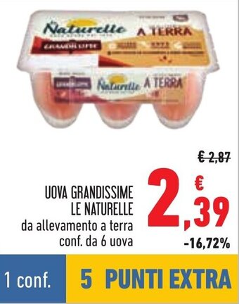 Conad UOVA GRANDISSIME LE NATURELLE da allevamento a terra conf. da 6 uova offerta