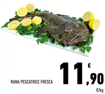 Conad RANA PESCATRICE FRESCA offerta