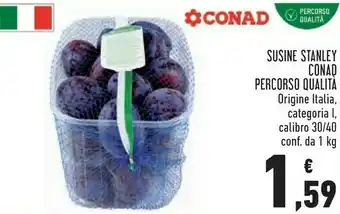 Conad Susine Stanley offerta