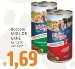 Morando bocconi miglior cane