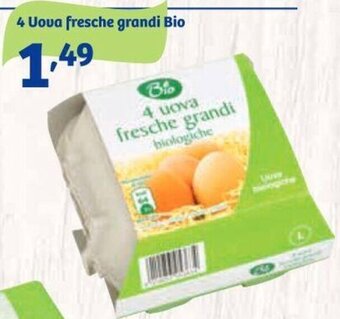 In'S Mercato 4 Uova fresche grandi Bio offerta