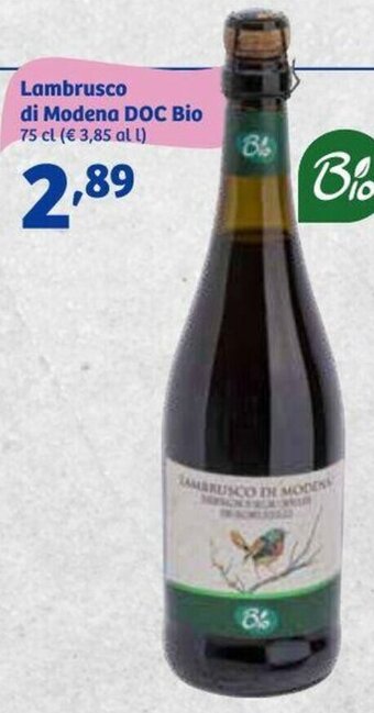 Lambrusco di Modena DOC Bio 75 cl