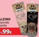 Eurospin Professional keiros valigetta in alluminio offerta