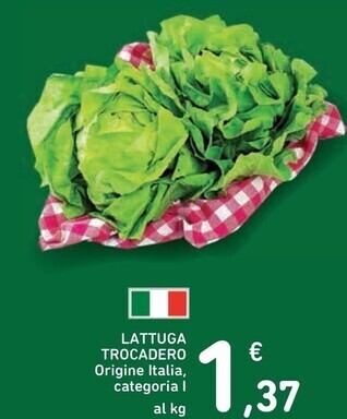 Lattuga trocadero