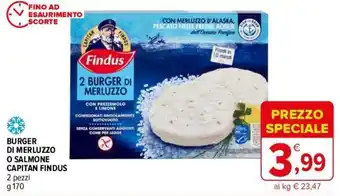 Iperal BURGER DI MERLUZZO O SALMONE CAPITAN FINDUS 2 pezzi g170 offerta