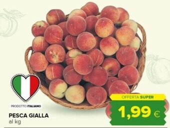 Tigre PESCA GIALLA offerta