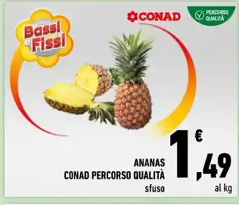 Conad ANANAS CONAD PERCORSO QUALITÀ sfuso offerta