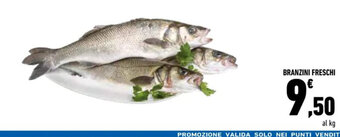 Conad BRANZINI FRESCHI offerta
