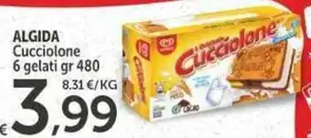 Carrefour Express ALGIDA Cucciolone 6 gelati gr 480 offerta