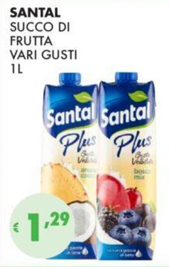Eté SANTAL SUCCO DI FRUTTA VARI GUSTI 1L offerta