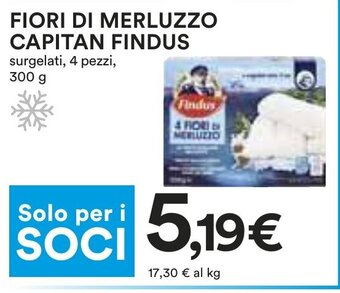 Coop FIORI DI MERLUZZO CAPITAN FINDUS surgelati, 4 pezzi, 300 g offerta