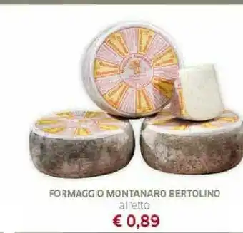 Galassia Formaggio Montanaro Bertolino offerta