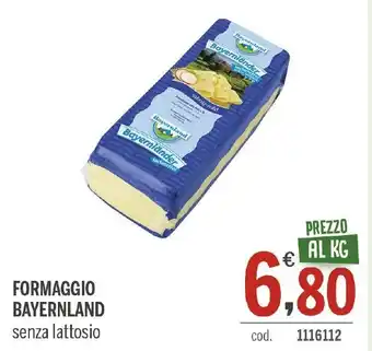 Elefante Cash & Carry FORMAGGIO BAYERNLAND senza lattosio offerta