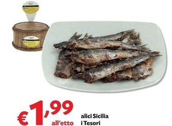 Pam Alici offerta