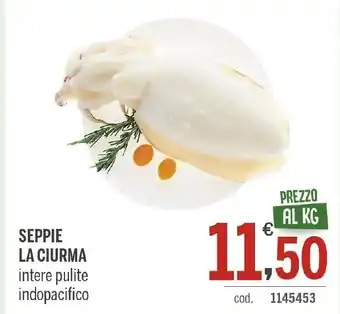 SEPPIE LA CIURMA intere pulite indopacifico